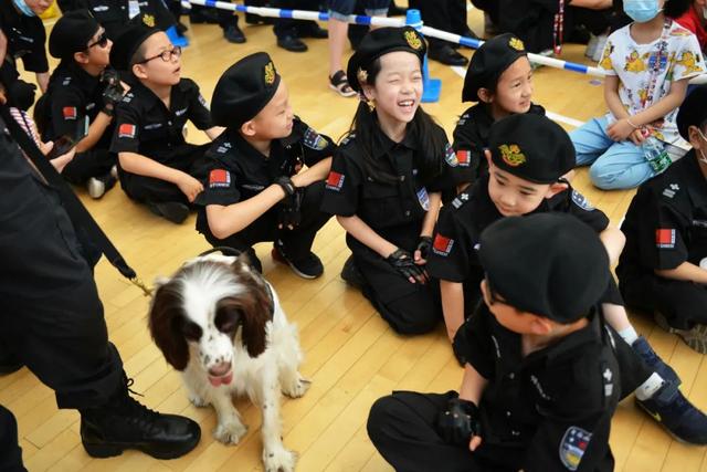  军事体育训练大纲pdf 